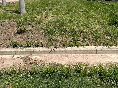 Mauricio Rojas esq. Aime Paine