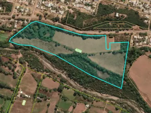 Campo de 11 has en Coronel Moldes Salta