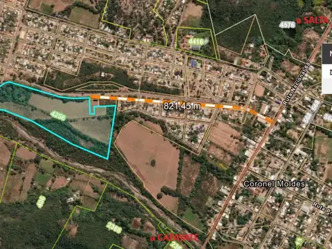 Campo de 11 has en Coronel Moldes Salta