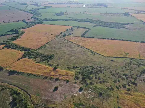 156 hectáreas con aptitud agrícola, 6Km de Nogoyá
