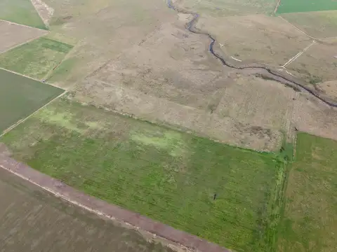 Campo de uso mixto en Santa Teresa con 201,5 hectareas