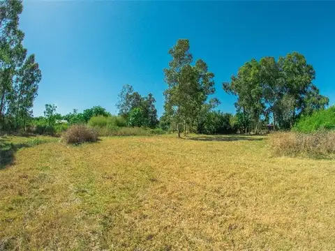 Linda Ubicación - Amplia Superficie - 2750m²