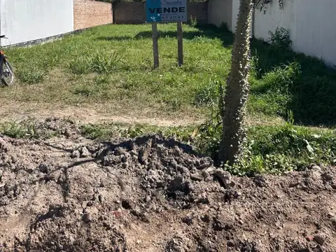 PSJ. PELLEGRINI 2257