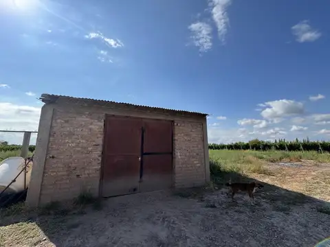 Venta - Finca de 14 Has - Malbec Orgánico - CHACHINGO