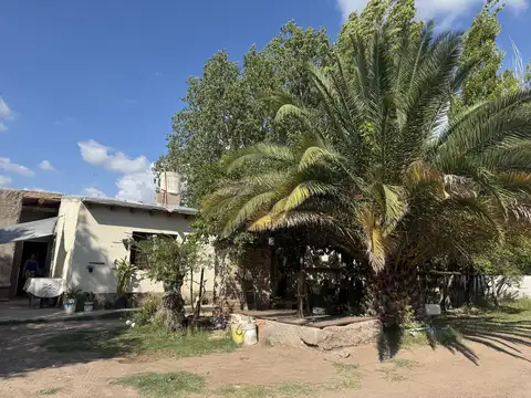Belgrano al 10600 - Chachingo