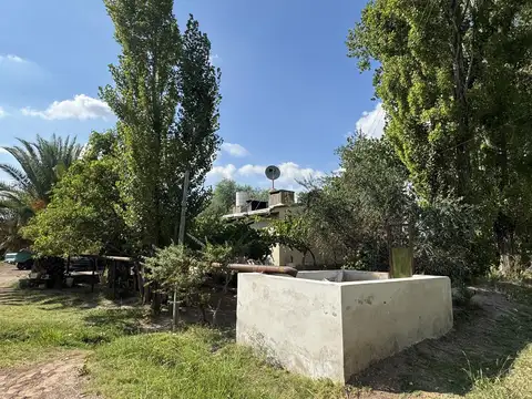 Venta - Finca de 14 Has - Malbec Orgánico - CHACHINGO