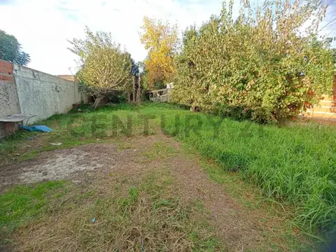 138 E/ 42 Y 43 - San Carlos - Lote en venta con construccion a refaccionar o demoler