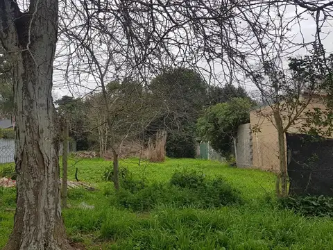Terreno en Venta en Villa Elvira, USD 41.000