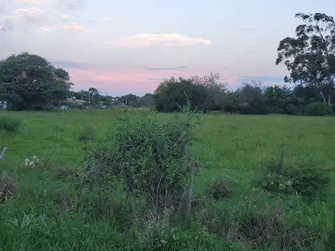 11 de septiembre