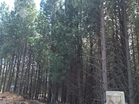 Terreno en Venta de 784,0 m2