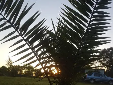 San Juan y Buenos Aires