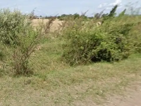 Campo en venta de 317 has en Baradero, Av. Almirante Brown 2900