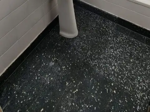 Virrey Del Pino 2700, Piso 1