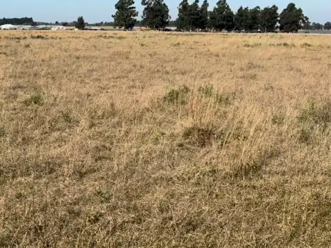 Terreno en Venta de 8000,0 m2