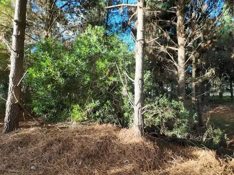 Cul de Sac de la Popa al 100