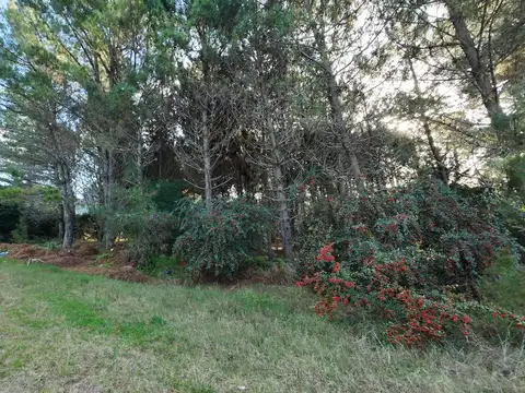 Cul de Sac de la Popa al 100