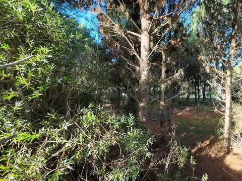 Terreno en Venta en Pinamar, USD 78.000