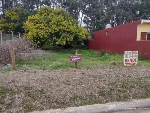 Francisco de las Carreras 2300