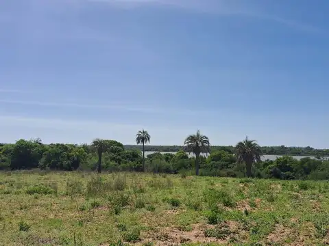 Campo en Colonia Adela