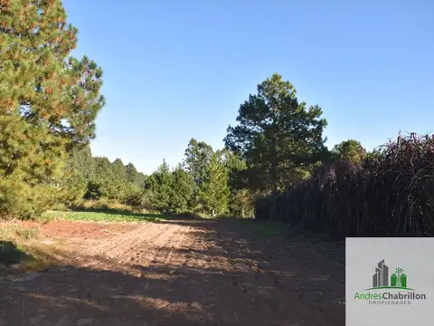 Camino rural s/n - Estancia