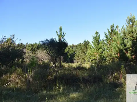 Camino rural s/n - Estancia 100