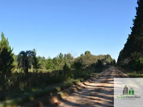 Camino rural s/n - Estancia