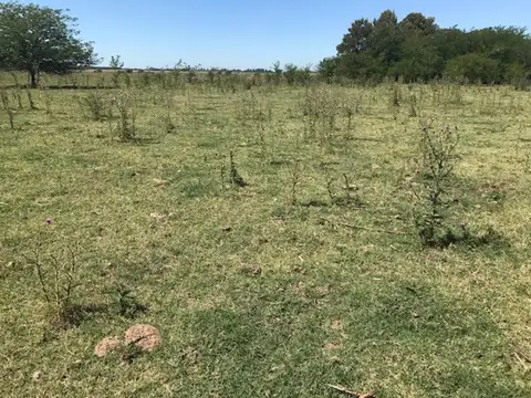 Rural 10000