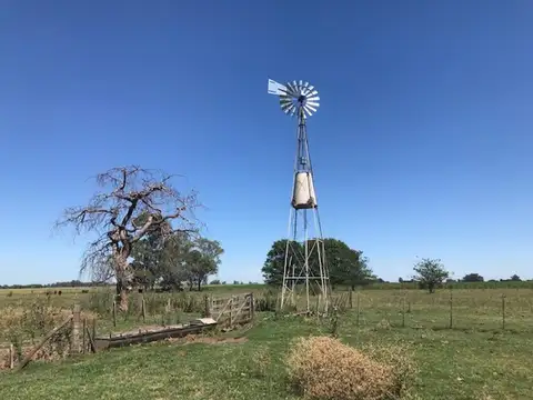 Campo mixto con mejoras