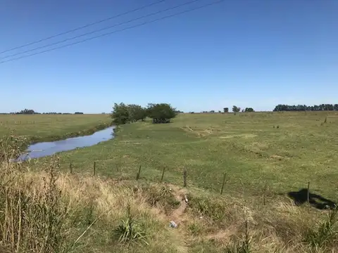 Rural 10000