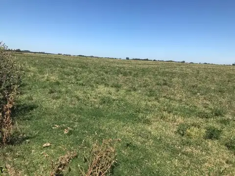 Campo mixto con mejoras