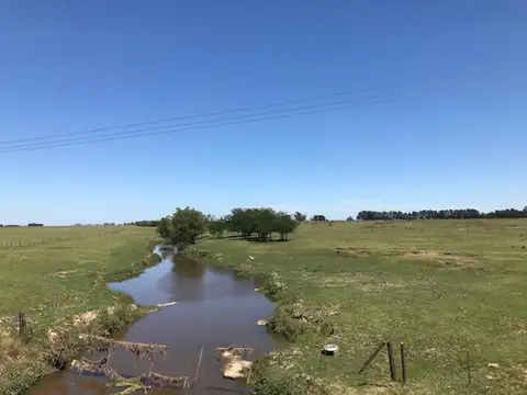 Campo mixto con mejoras