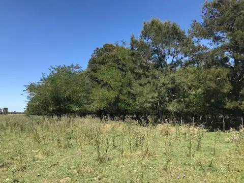 Campo mixto con mejoras