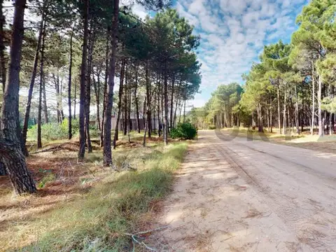 KM 374 - RUTA INTERBALNEARIA 11 -  LOTE 338 BARRIO BRISAS III , Piso 0