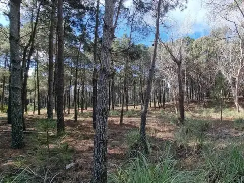 Terreno en Venta en Villarobles, USD 65.000