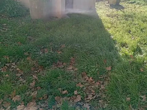 Calle Siempre Verde 100