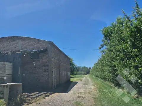Alquiler Chacra con Galpón  - Calle Julio Salto - Frente a la Nonina -  Cipolletti -