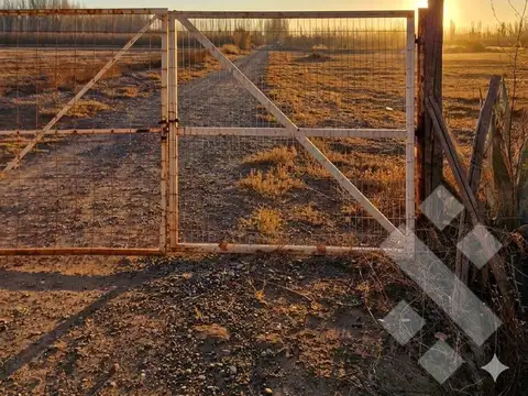 Terreno en Alquiler de 100,0 m2