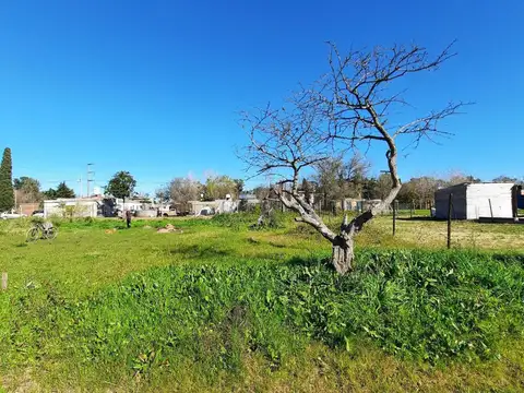 Terreno en Venta 25  mts Fondo
