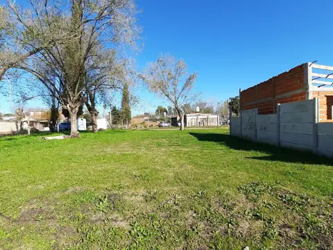 Calle 515 S/n