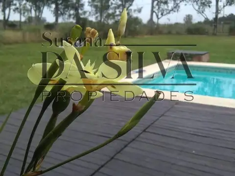 Jacaranda Alquiler Temp.