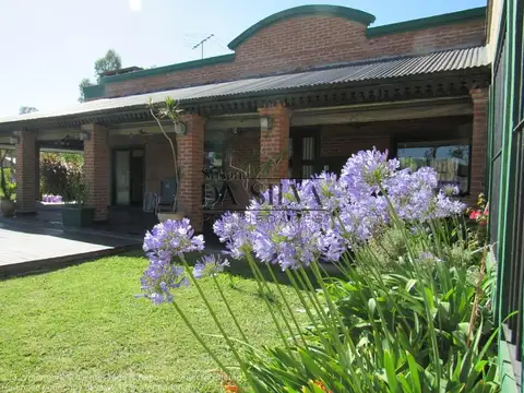 Jacaranda Alquiler Temp.