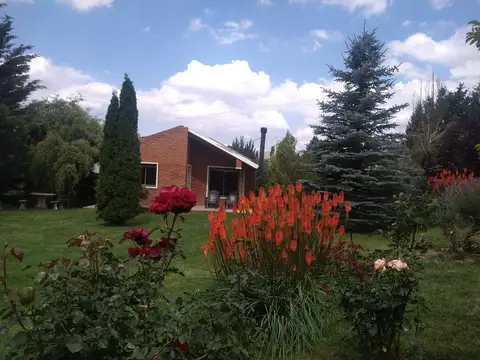 Complejo de Cabañas en Potrerillos
