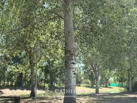 Terreno en Venta en Piñero, USD 29.000