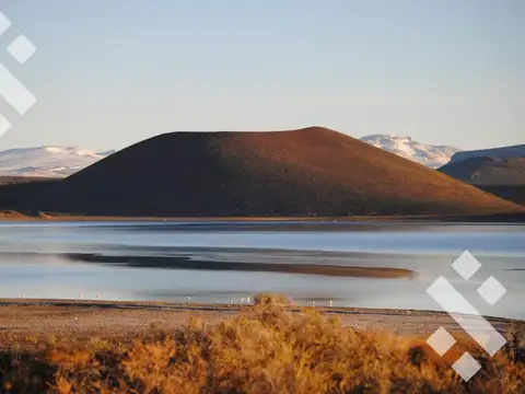 VENTA: CAMPO  1248 Has. en Las Horquetas - Alumine (Pcia. Neuquén) Patagonia  Argentina