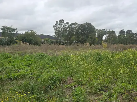 OPORTUNIDAD! VENTA DE LOTE DE 4 HA Y MEDIA EN 630 Y 3