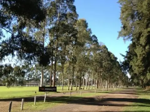 LOTE 476 M2 VENTA BARRIO PRIVADO SANTO TOMAS PILAR