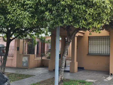 Saenz 319