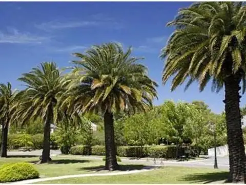 CASA 5 AMBIENTES , JARDIN Y PISCINA