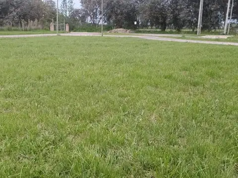 Terreno en Venta en Alejandro Petion, USD 35.000