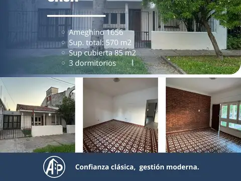 Ameghino 1656